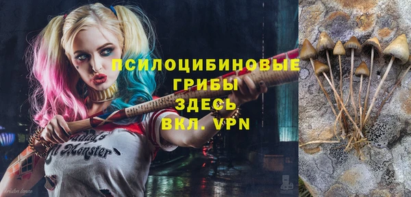гашиш Касимов