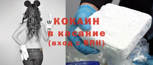 ПСИЛОЦИБИНОВЫЕ ГРИБЫ Карталы