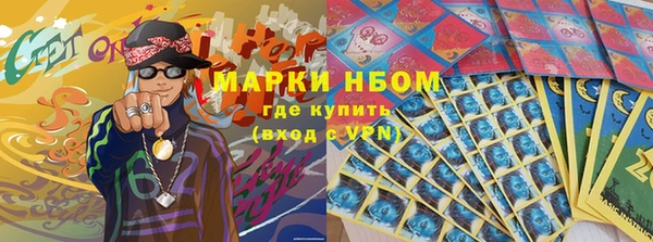 ПСИЛОЦИБИНОВЫЕ ГРИБЫ Карталы