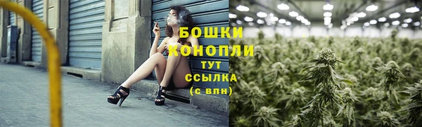 ПСИЛОЦИБИНОВЫЕ ГРИБЫ Карталы
