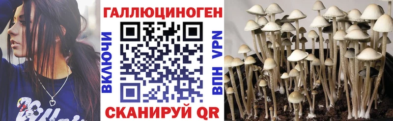 блэк спрут как зайти  Октябрьский  Галлюциногенные грибы прущие грибы 